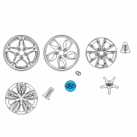 OEM Hyundai Wheel Hub Cap Assembly Diagram - 52960-G2000