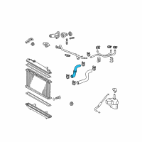 OEM 2002 Toyota Highlander Lower Hose Diagram - 16572-28070