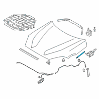 OEM 2021 BMW Z4 GAS SPRING FRONT FLAP, PASSI Diagram - 51-23-7-435-543