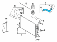 OEM Hyundai Elantra Hose Assembly-Radiator, UPR Diagram - 25414-AA200