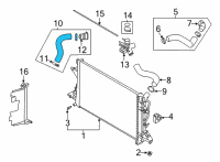 OEM 2022 Hyundai Elantra Hose Assembly-Radiator, LWR Diagram - 25415-AA200