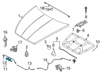 OEM Hyundai Sonata Latch Assembly-Hood Diagram - 81130-L1000
