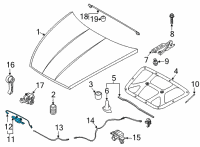 OEM 2020 Hyundai Sonata Latch Assembly-Hood Diagram - 81130-L1000