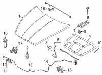 OEM 2020 Hyundai Sonata Lifter-Hood Diagram - 81161-L1000