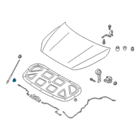 OEM 2017 Kia Forte5 Clip-Hood Stay Rod Diagram - 81174A7000
