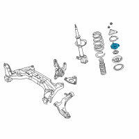 OEM 2001 Nissan Sentra Strut Mounting Insulator Assembly Diagram - 54320-4Z020