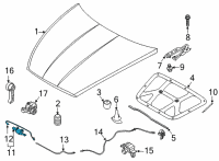 OEM Kia K5 Hood Latch Assembly Diagram - 81130L2000