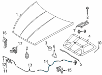 OEM 2022 Kia K5 Cable Assembly-Hood LATC Diagram - 81190L3000