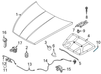 OEM Kia K5 Lifter-Hood Diagram - 81161L2000