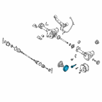OEM 2002 Nissan Xterra Gear Set Final Drive Diagram - 38100-06M00
