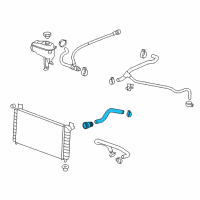 OEM 2018 Chevrolet Silverado 3500 HD Lower Hose Diagram - 23436394