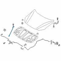 OEM Hyundai Elantra Rod Assembly-Hood Stay Diagram - 81170-F2000