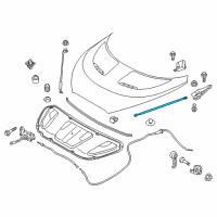 OEM 2016 Hyundai Veloster Lifter-Hood, LH Diagram - 81161-2V001