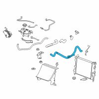 OEM Saturn Radiator Outlet Hose (Lower) Diagram - 19129921