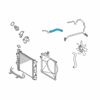 OEM 2019 Toyota Tacoma Upper Hose Diagram - 16571-0C120