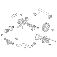 OEM 2021 Ford EcoSport Thermostat O-Ring Diagram - -W715777-S300