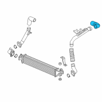 OEM Honda Hose, Drive By Wire Diagram - 17294-59B-006