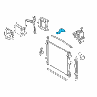 OEM 2019 Lexus LS500 Hose, Radiator, NO.2 Diagram - 16572-70340