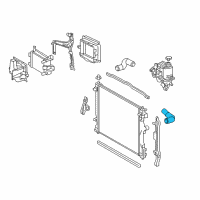 OEM 2019 Lexus LS500 Hose, Radiator, NO.1 Diagram - 16571-70400