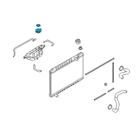 OEM Nissan Cap Assembly-Radiator Diagram - 21430-89S0A