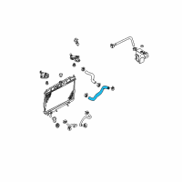 OEM 2000 Nissan Sentra Hose-Radiator, Lower Diagram - 21503-6M200