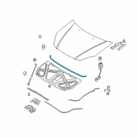 OEM Kia Rio5 Weatherstrip-Hood Diagram - 864311G000