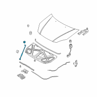 OEM 2007 Kia Rio Rod Assembly-Hood Stay Diagram - 811701G000