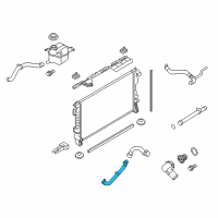 OEM Ford Police Interceptor Sedan Lower Hose Diagram - AA5Z-8286-C