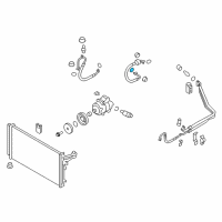 OEM 2017 Kia K900 O-Ring Diagram - 976904D800