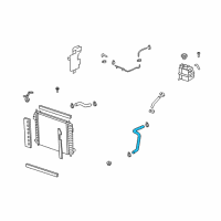 OEM 2010 Saturn Vue Radiator Outlet Hose (Lower) Diagram - 19130273