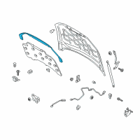 OEM 2015 Lincoln MKZ Front Weatherstrip Diagram - DP5Z-16B990-D