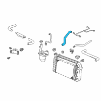 OEM 1998 Chevrolet Camaro Radiator Outlet Hose (Lower) Diagram - 10271555