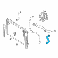 OEM 2004 Ford Escape Lower Hose Diagram - YL8Z-8286-BE