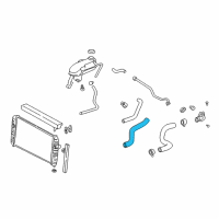 OEM 2003 Pontiac Grand Am Radiator Outlet Hose (Lower) Diagram - 22647232