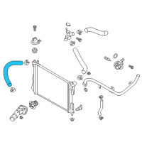 OEM 2014 Hyundai Veloster Hose-Radiator Lower Diagram - 25412-2V700