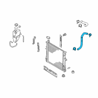 OEM Kia Borrego Hose-Radiator Lower Diagram - 254122J200