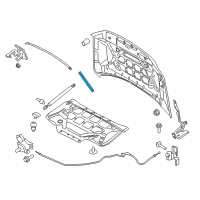 OEM Lincoln Navigator Side Weatherstrip Diagram - JL1Z-16B991-A