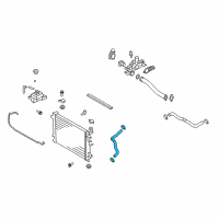 OEM 2010 Kia Rondo Hose-Radiator Lower Diagram - 254151D100