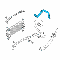 OEM Ford F-150 Upper Hose Diagram - FL3Z-6C646-B