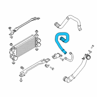 OEM Ford F-150 Lower Hose Diagram - HL3Z-6C646-A