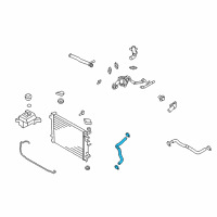 OEM Kia Optima Hose-Radiator Lower Diagram - 254122G300