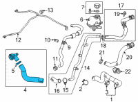 OEM 2022 Chevrolet Trailblazer Lower Hose Diagram - 42731774