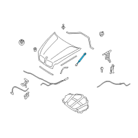 OEM BMW X6 Gas Pressurized Spring Diagram - 51-23-7-148-346