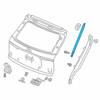 OEM 2020 Honda Passport Open Stay, R Tail Gate Diagram - 74820-TGS-A01