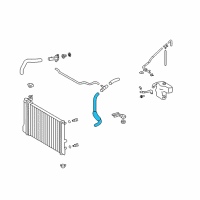 OEM 2009 Toyota Matrix Lower Hose Diagram - 16573-0H020