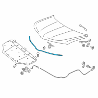 OEM 2016 Lincoln MKX Front Weatherstrip Diagram - FA1Z-16B990-A