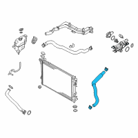OEM 2016 Hyundai Santa Fe Sport Hose-Radiator Lower Diagram - 25412-4Z500