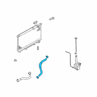 OEM 2009 Kia Amanti Hose-Radiator Lower Diagram - 254153F800