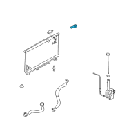 OEM Kia Amanti Bracket-Radiator Upper Diagram - 253333F100