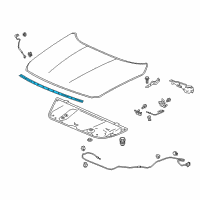 OEM 2018 Honda Accord Rubber, Hood Seal Diagram - 74142-TVA-A11